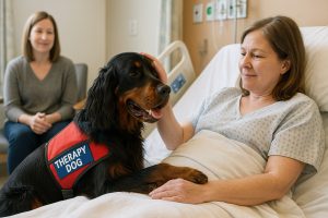 service dog breeds gordon setter therapy dog