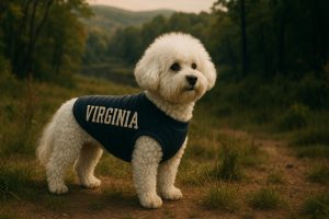 working dog virginia bichon frise service dog laws