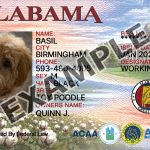 Alabama Dog Registration Card