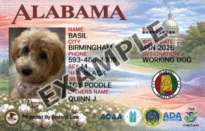 Alabama Dog Registration Card
