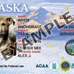 Alaska Dog Registration Card
