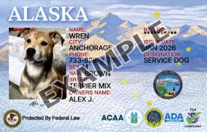 Alaska Dog Registration Card