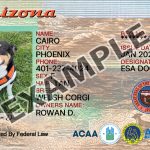 Arizona Dog Registration Card