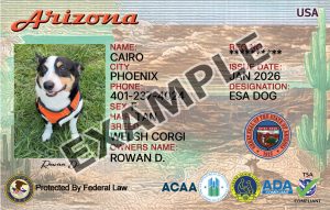 Arizona Dog Registration Card