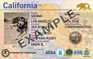 California Dog Registration Card