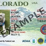 Colorado Dog Registration Card