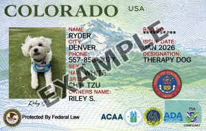 Colorado Dog Registration Card