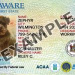 Delaware Dog Registration Card