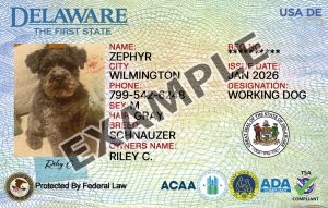 Delaware Dog Registration Card