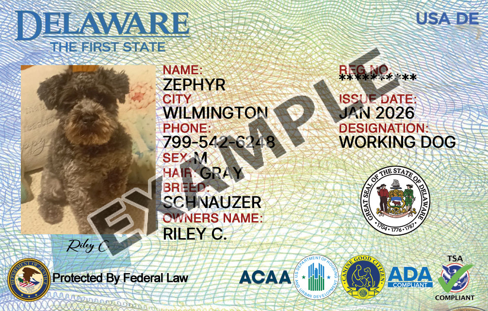 Delaware Dog Registration Card