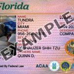 Florida Dog Registration Card