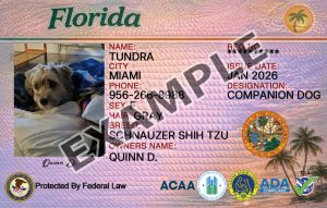Florida Dog Registration Card