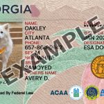 Georgia Dog Registration Card