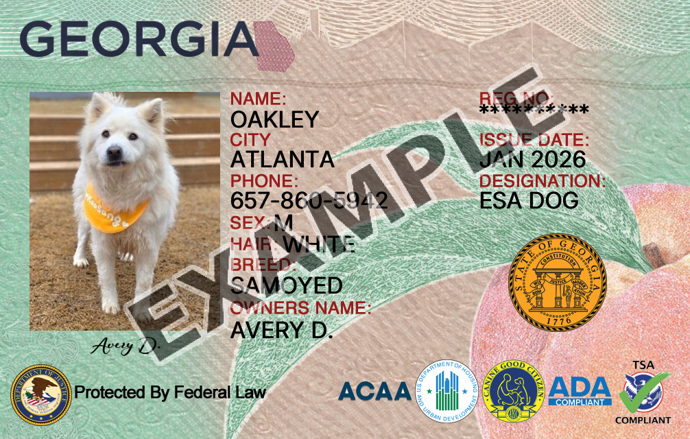 Georgia Dog Registration Card