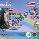 Hawaii Dog Registration Card