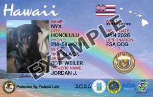 Hawaii Dog Registration Card