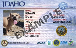 Idaho Dog Registration Card