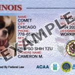 Illinois Dog Registration Card