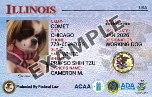 Illinois Dog Registration Card