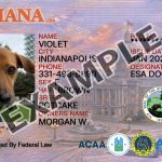 Indiana Dog Registration Card