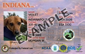 Indiana Dog Registration Card