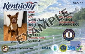 Kentucky Dog Registration Card
