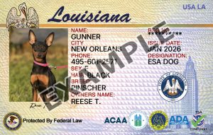 Louisiana Dog Registration Card