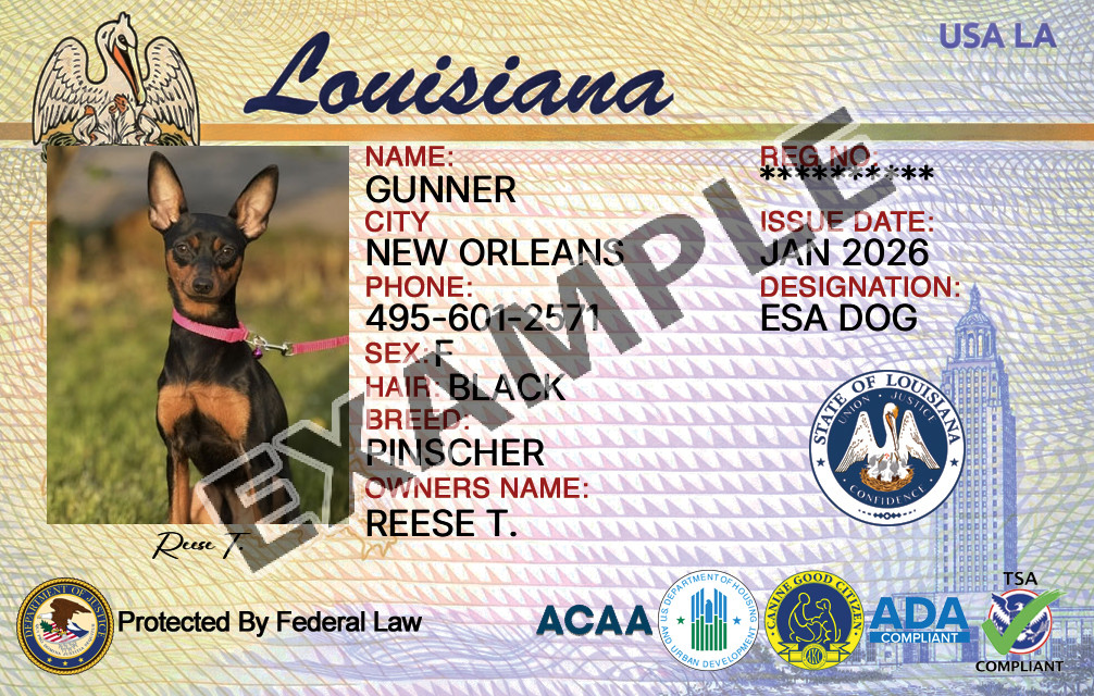 Louisiana Dog Registration Card
