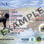 Maine Dog Registration Card