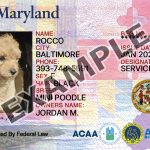 Maryland Dog Registration Card