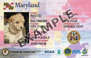 Maryland Dog Registration Card