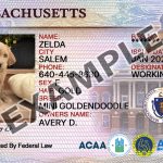 Massachusetts Dog Registration Card