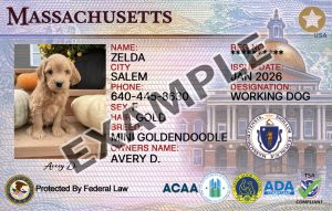 Massachusetts Dog Registration Card