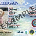 Michigan Dog Registration Card
