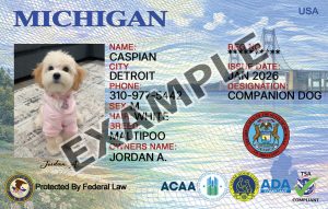 Michigan Dog Registration Card