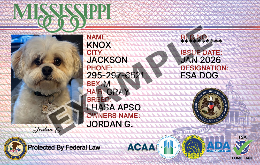 Mississippi Dog Registration Card