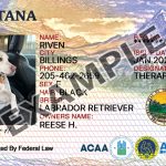 Montana Dog Registration Card
