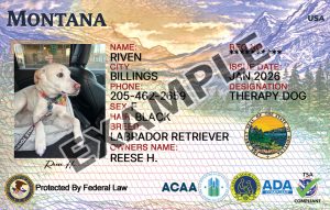 Montana Dog Registration Card