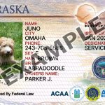 Nebraska Dog Registration Card
