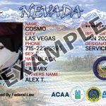 Nevada Dog Registration Card