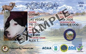 Nevada Dog Registration Card