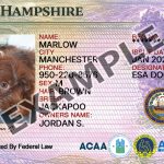 New Hampshire Dog Registration Card