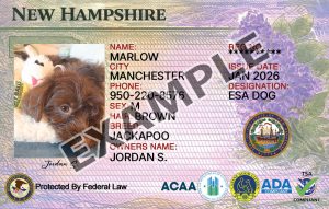 New Hampshire Dog Registration Card