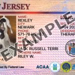 New Jersey Dog Registration Card