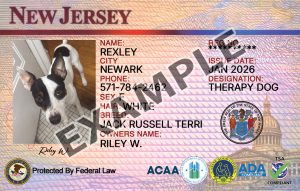 New Jersey Dog Registration Card