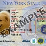 New York Dog Registration Card