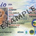 Ohio Dog Registration Card