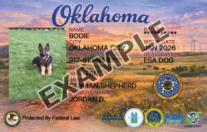 Oklahoma Dog Registration Card