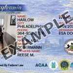 Pennsylvania Dog Registration Card