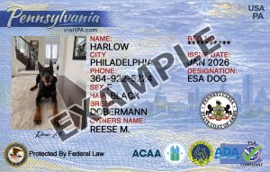 Pennsylvania Dog Registration Card